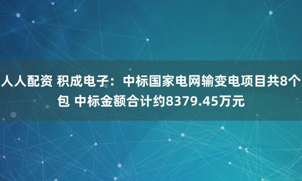 人人配资 积成电子：中标国家电网输变电项目共8个包 中标金额合计约8379.45万元